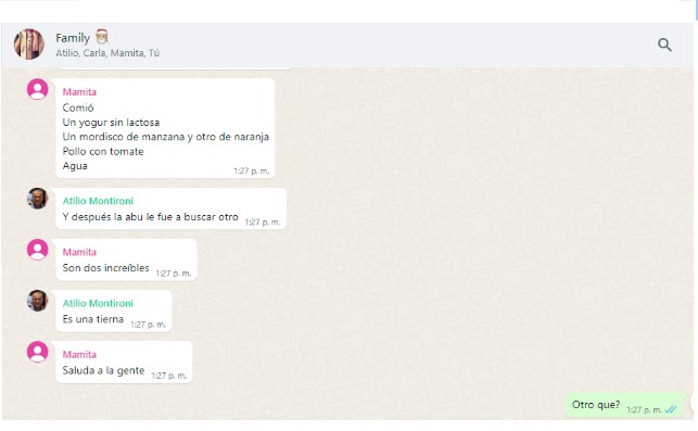 WhatsApp familia 3